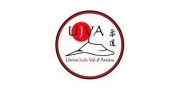 Logo UNION JUDO 63  VAL D ARTIERE